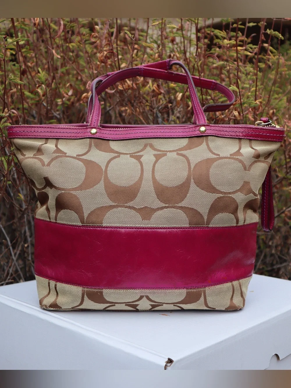 Coach Signature Berry Stripe Patent Leather Tote Shoulder Bag, Berry Red/Pinkish